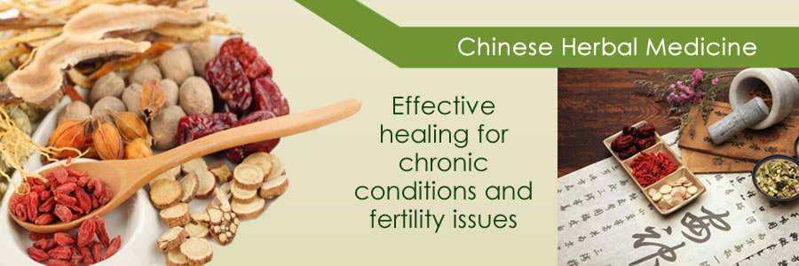 Chinese-herbal-medicine-banner